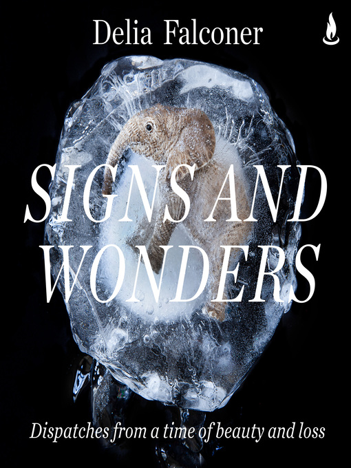 Title details for Signs and Wonders by Delia Falconer - Wait list